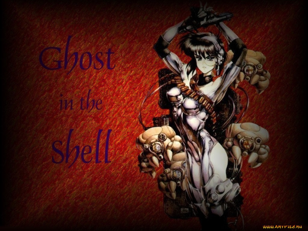 , ghost, in, the, shell